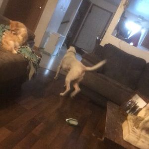 Meet your Posher, Daniel